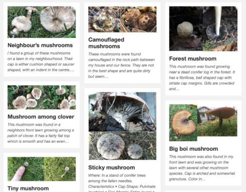 screen shot of website of small photo boxes of mushroom varieties with short text explanations under each. The photo boxes are clickable.